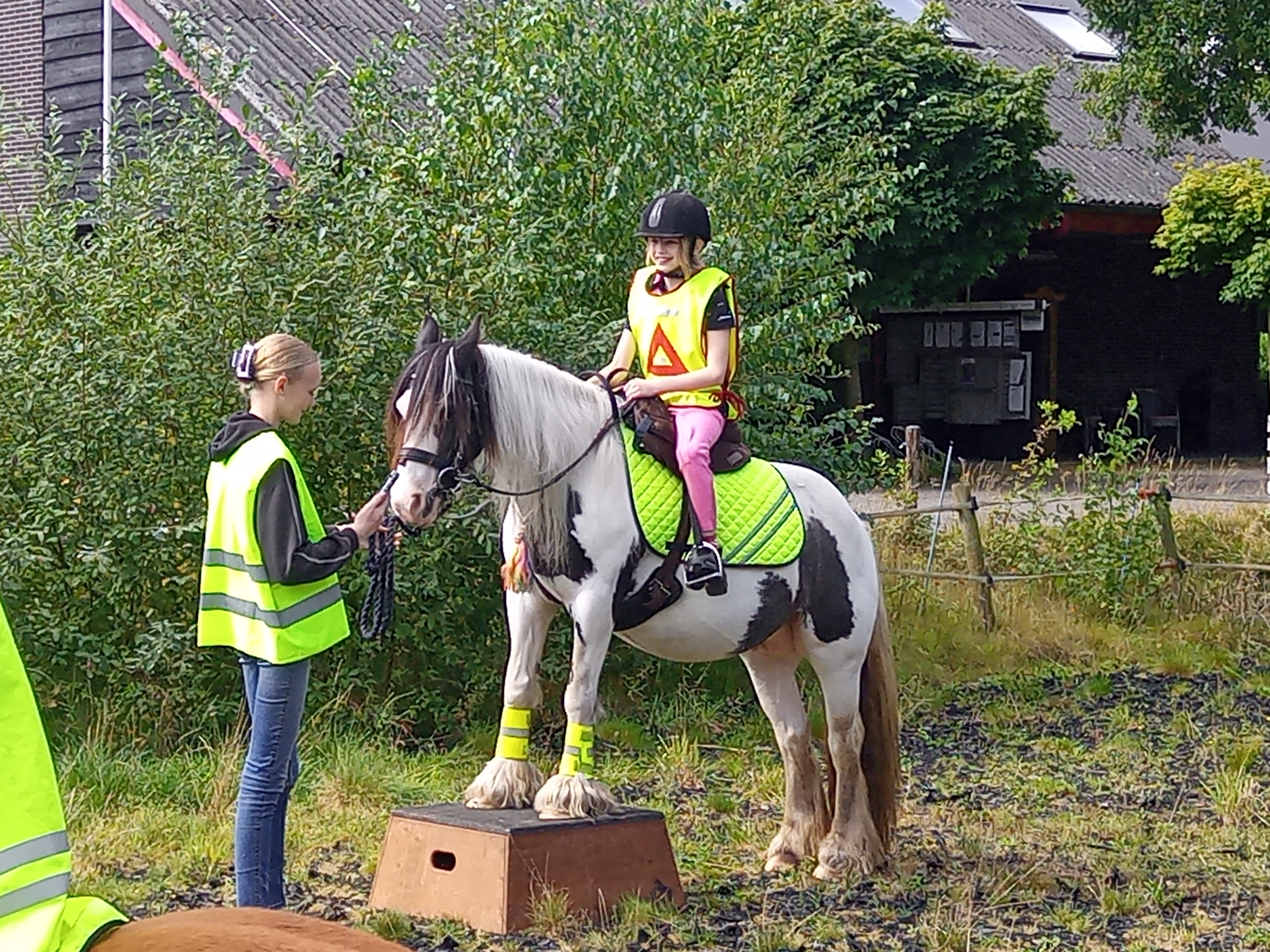 IMG 20240824 120603 4