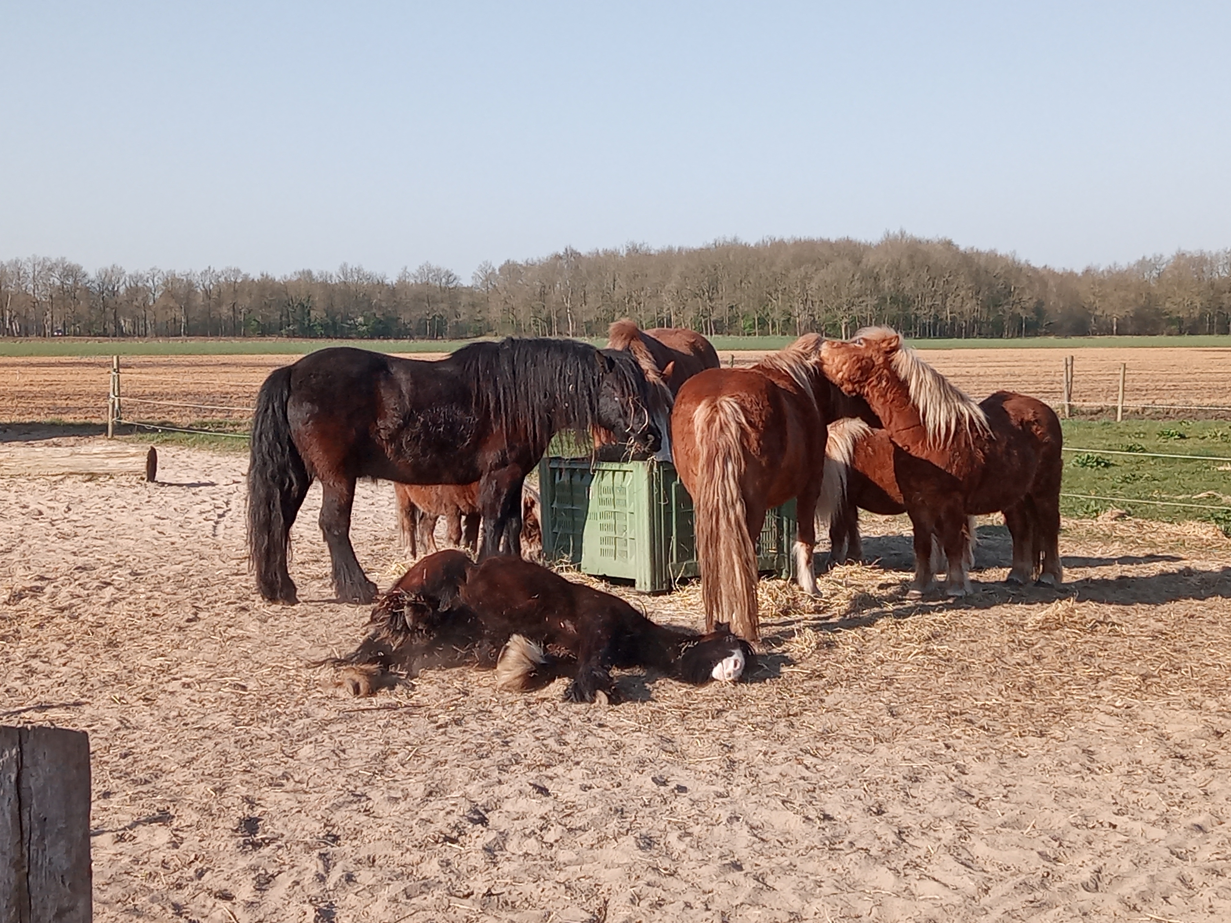 IMG 20250404 093127 8