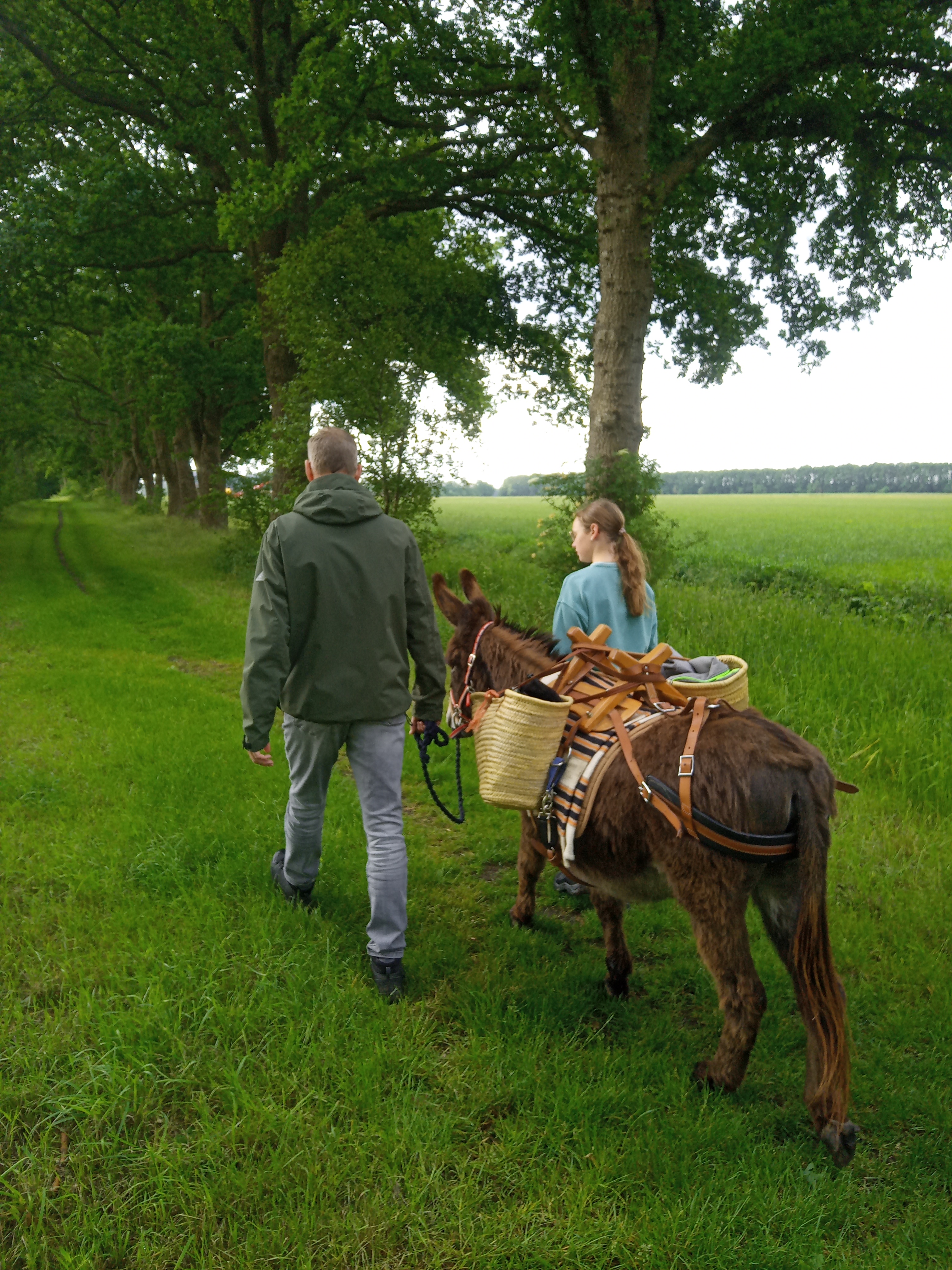 IMG 20250609 111841 9