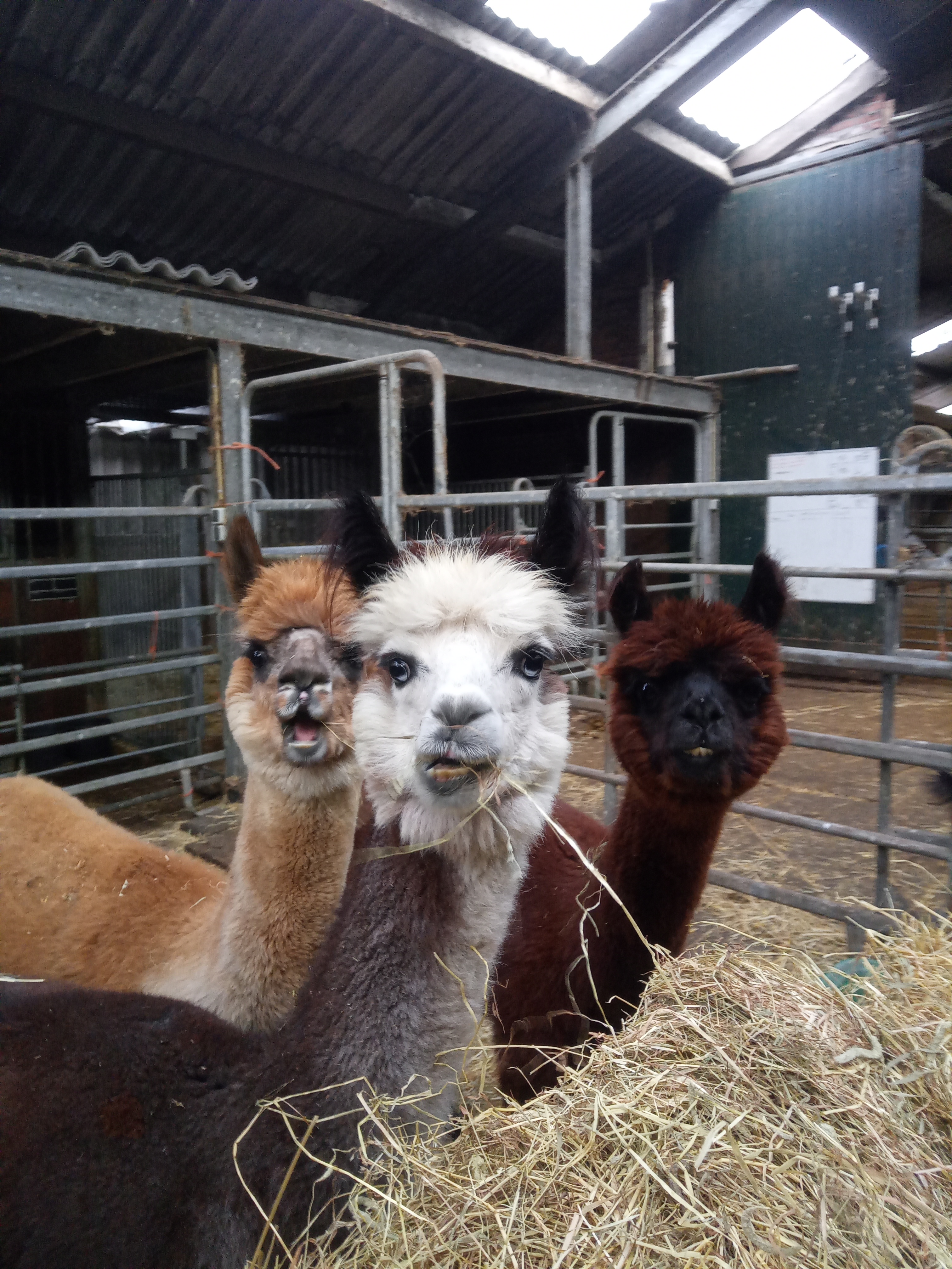 IMG 20251026 162053 2