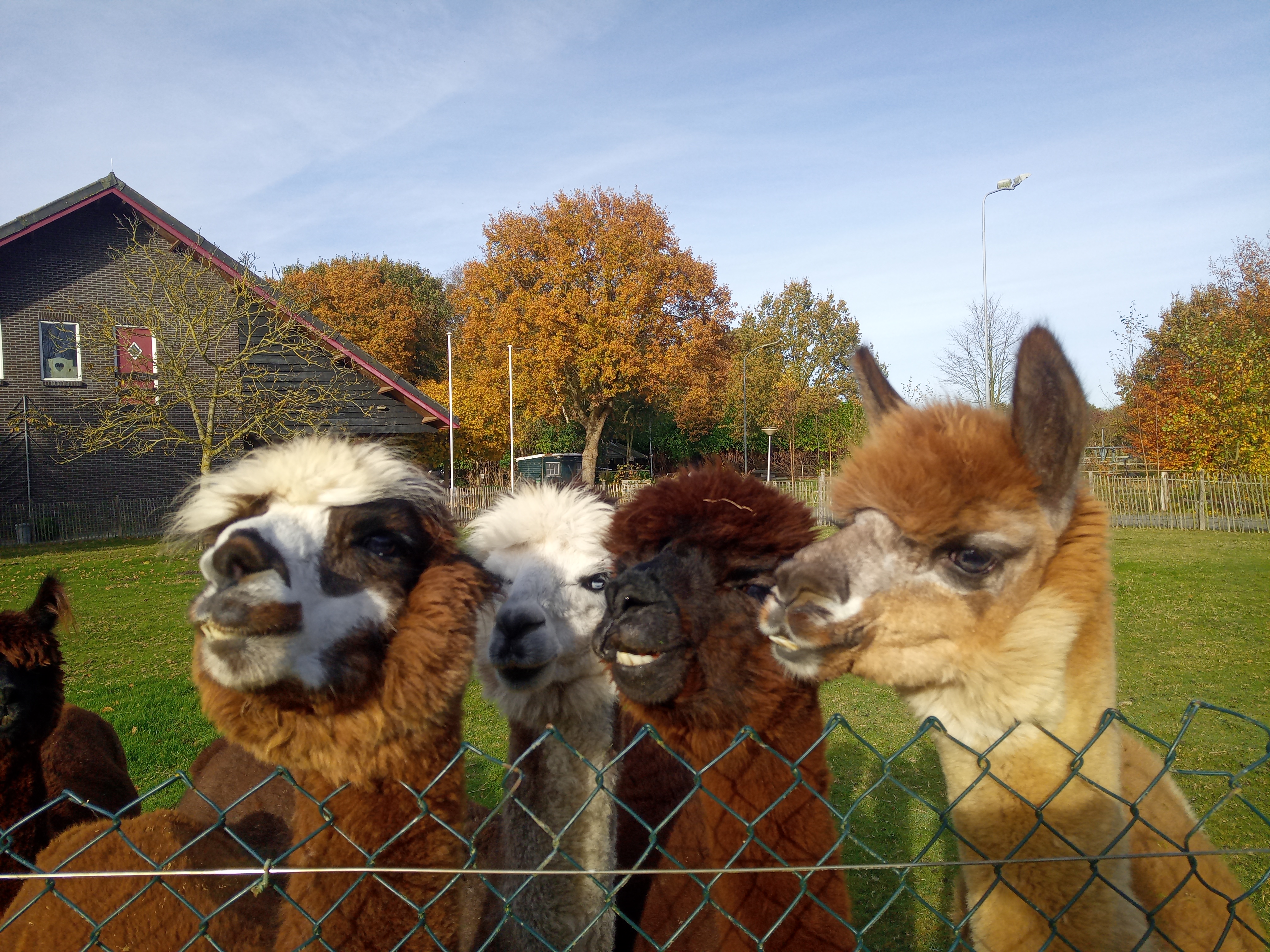 IMG 20251106 112729 4